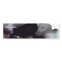 Tufted Puffin Portrait Bumper Stickers