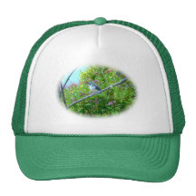 Tufted Titmouse: Newly Fledged Baby Bird Trucker Hats