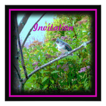 Tufted Titmouse: Newly Fledged Baby Bird Personalised Invites