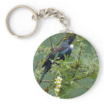 Tui Keychains