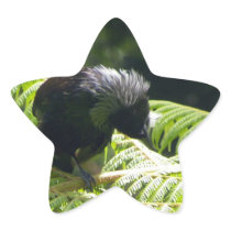 Tui Stickers