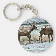 Tule Elk Key Chains