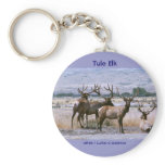 Tule Elk keychains