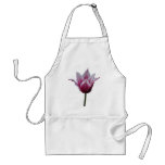 Tulip 233 ~ apron