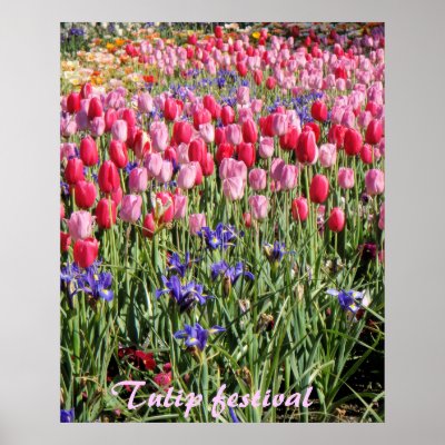 Tulip festival print by ashroc