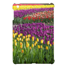 Tulip Field