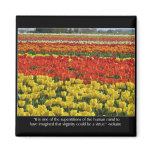 Tulip Field and Voltaire Quote magnets
