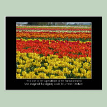 Tulip Field and Voltaire Quote postcards