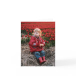 Tulip Field notecards