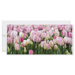 tulip field rack cards