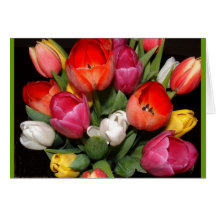 Tulip Fireworks Greeting Cards