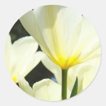 Tulip Flowers stickers White Yellow Tulips