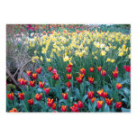 Tulip Garden Business Cards