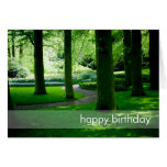 Tulip Garden DSC0849 Greeting Card