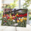 Tulip Garden Easter Card