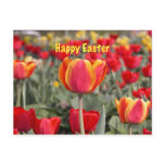 Tulip Garden Easter Postcard