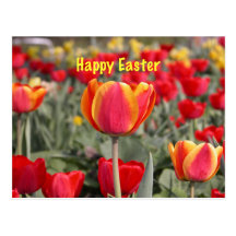 Tulip Garden Easter Postcard