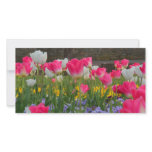 Tulip Garden Photocard