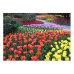 Tulip Gardens Business Card Template