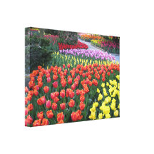 Tulip Gardens Gallery Wrapped Canvas