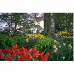 Tulip Gardens Cut Outs
