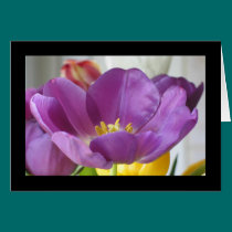 Tulip Greeting Card cards