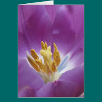 Tulip Greeting Card Card cards