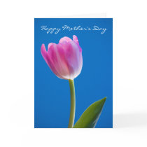 Tulip, Happy Mother's Day