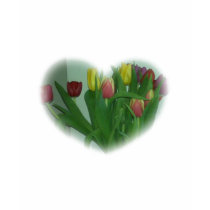 Tulip Heart t-shirts