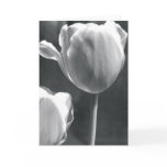 Tulip in Black and White cards