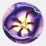 Tulip Interior Stickers