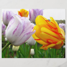 Tulip Love Flyer Design