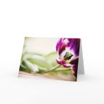 Tulip macro greeting card empty