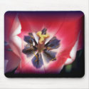 Tulip mousepads