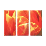Tulip On Fire canvas prints
