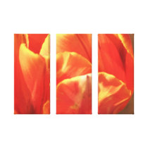 Tulip On Fire Canvas Prints