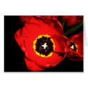 Tulip pop cards