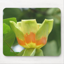 Tulip Poplar Bloom Mouse Pads