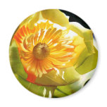 "Tulip Poplar" Yellow Flower Watercolor magnets