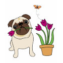 Tulip Pug Tees for Kids and Adults t-shirts