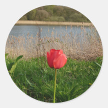 Tulip Round Sticker
