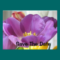 TULIP SAVE THE DATE INVITATION invitations
