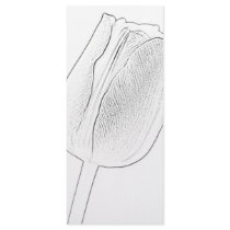 Tulip Sketch Wedding Program