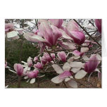 Tulip Tree Notecard