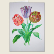 Tulip Trio cards