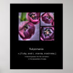 tulipomania posters