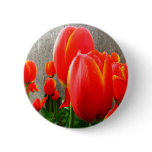 Tulips and Stone Pinback Button