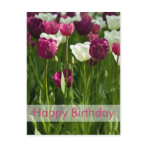 Tulips Birthday Postcard | Geburtstagskarte Tulpen