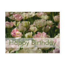 Tulips Birthday Postcard | Geburtstagskarte Tulpen