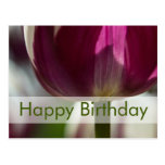 Tulips Birthday Postcard | Geburtstagskarte Tulpen